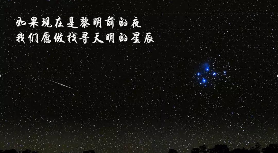 c7c7����ƽ̨(�й���)��¼�������